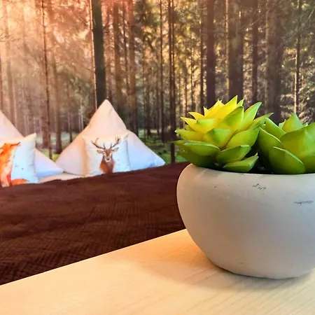Falkenloft Im Allgaeu - Sonnenterrasse Mit Markise, Wlan, Self Check-in, Gratis Parken, Tolle Lage, Koenigscard Διαμέρισμα Nesselwang