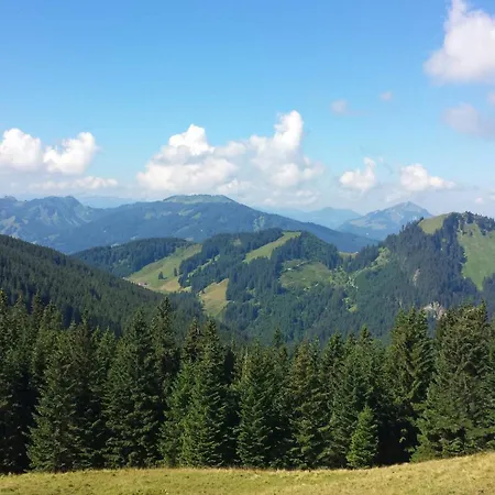 Falkenloft Im Allgaeu - Sonnenterrasse Mit Markise, Wlan, Self Check-in, Gratis Parken, Tolle Lage, Koenigscard * Nesselwang