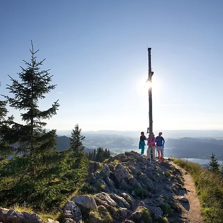 Falkenloft Im Allgaeu - Sonnenterrasse Mit Markise, Wlan, Self Check-in, Gratis Parken, Tolle Lage, Koenigscard Διαμέρισμα *