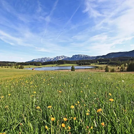 Falkenloft Im Allgaeu - Sonnenterrasse Mit Markise, Wlan, Self Check-in, Gratis Parken, Tolle Lage, Koenigscard Nesselwang